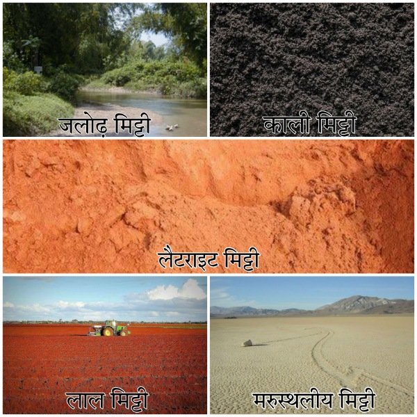 मिट्टी (Mitti)- मिट्टी की उत्पत्ति,तत्व और प्रकार